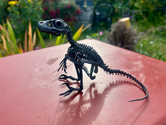 Deinonychus Hatchling