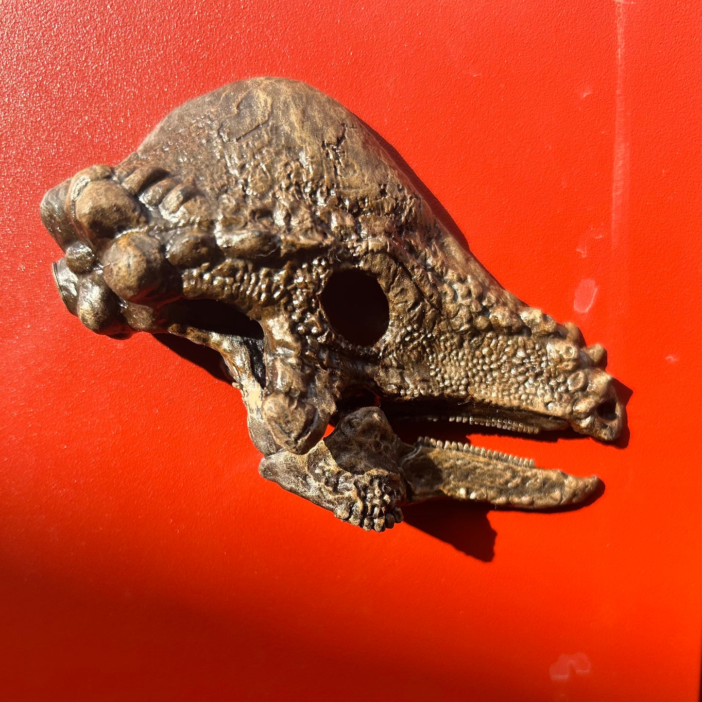 Pachycephalosaurus Magnet