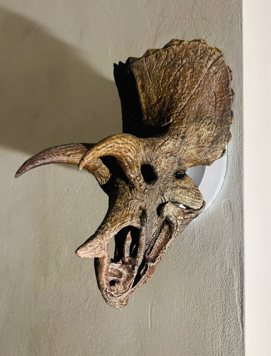 Triceratops prorsus
