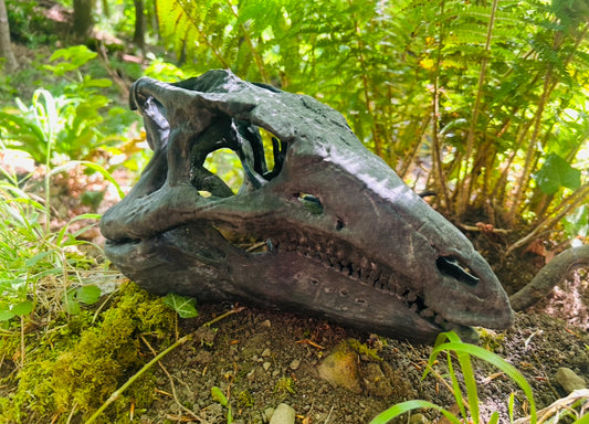 Scelidosaurus harrisonii