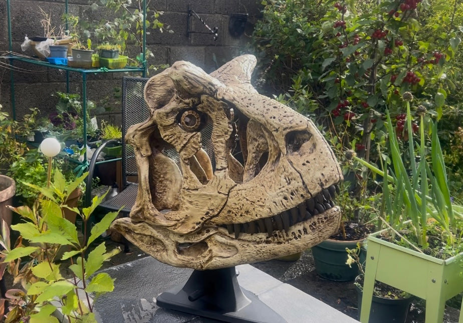 Carnotaurus sastrei [1:1]