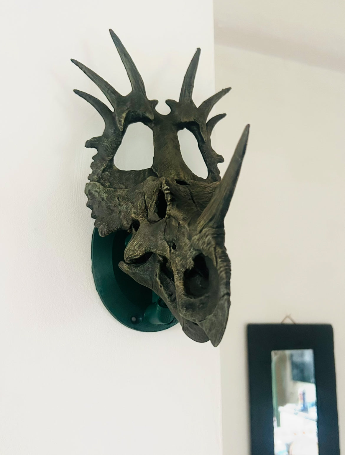 Styracosaurus albertensis