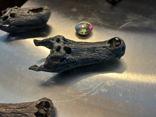 Deinosuchus magnet