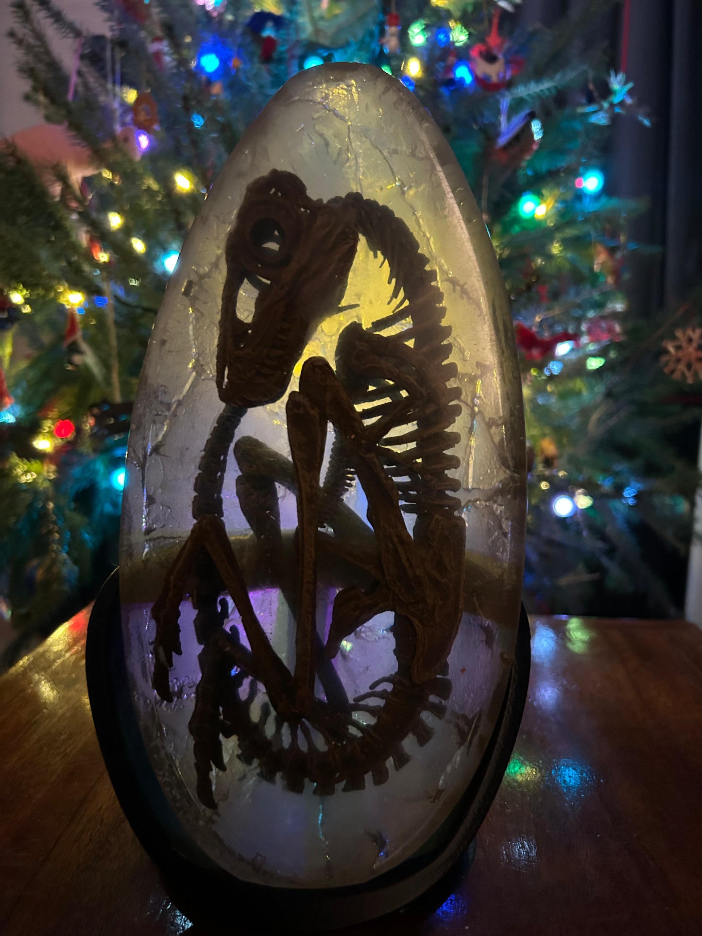 Embryonic Tyrannosaur (BB)