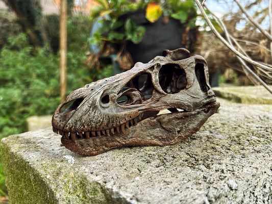 Nanotyrannus lancensis