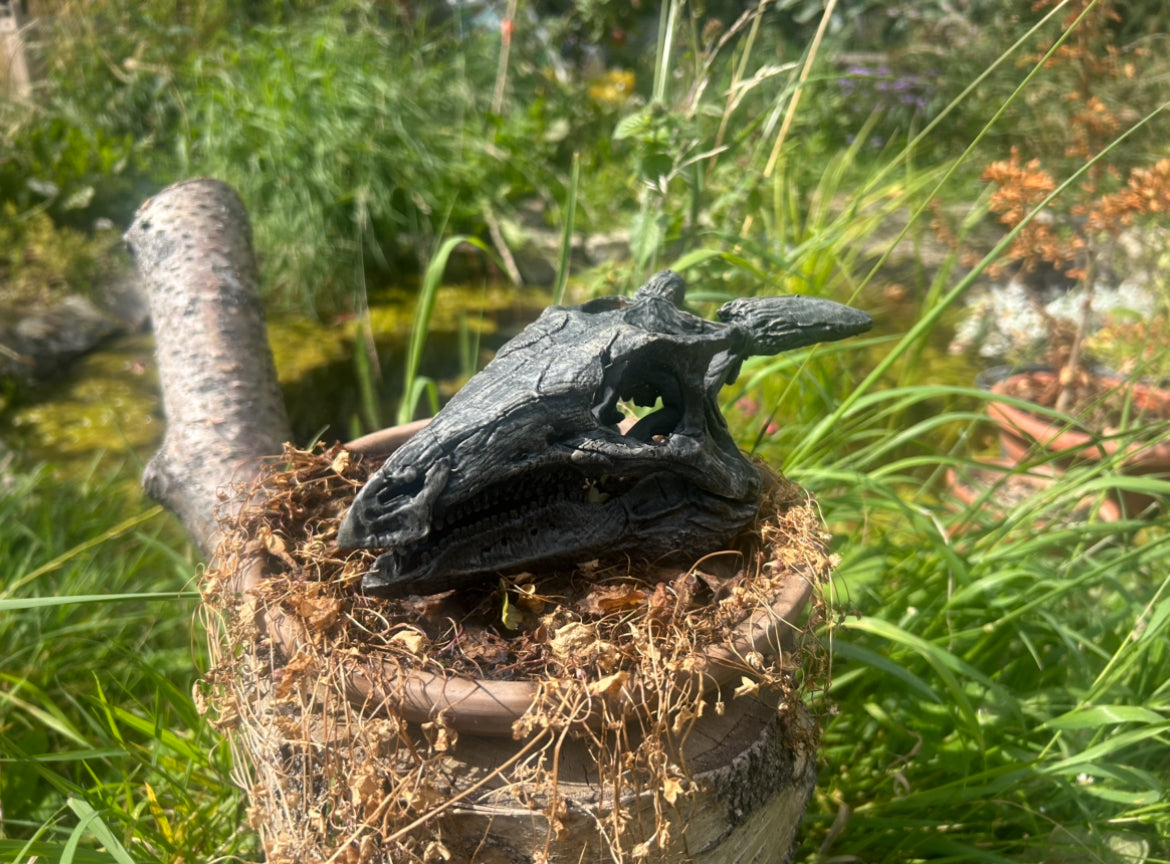 Scelidosaurus harrisonii 1:2 scale