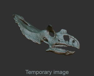 Kosmoceratops Magnet