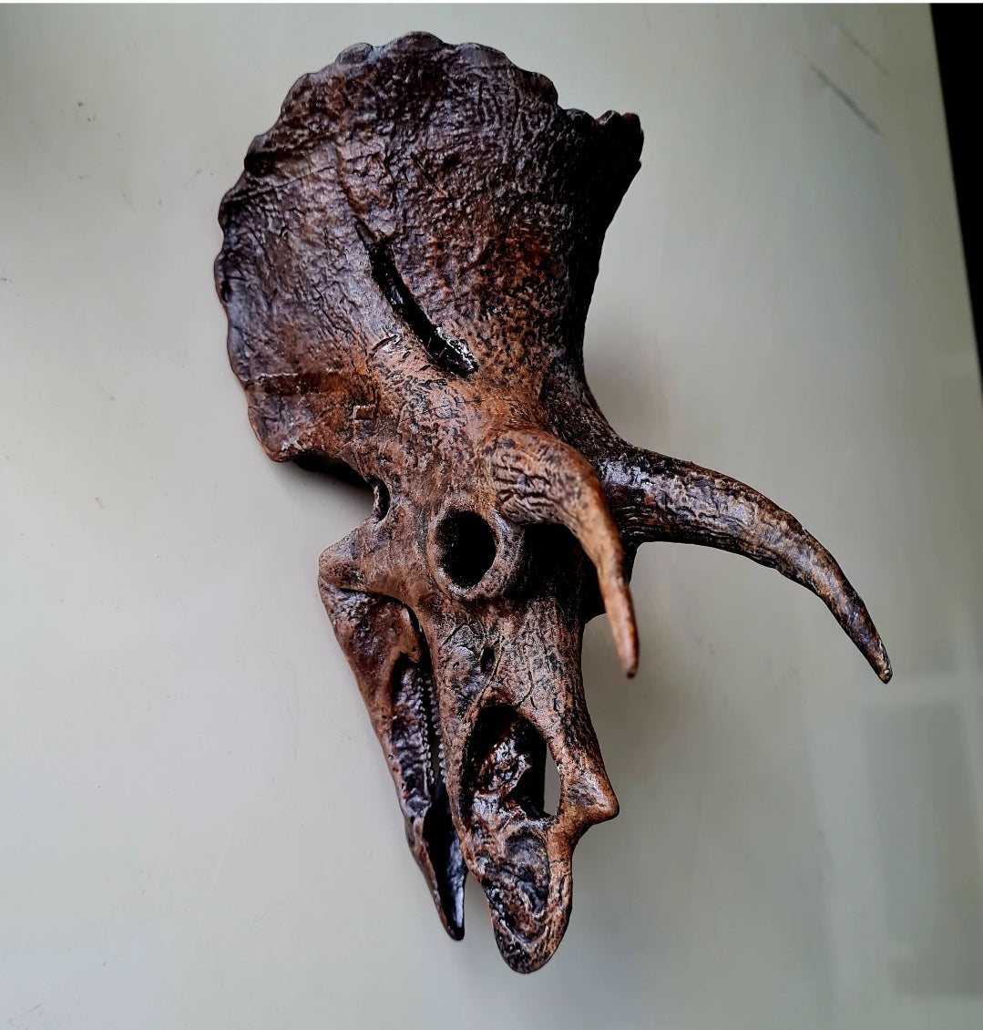 Triceratops horridus Magnet