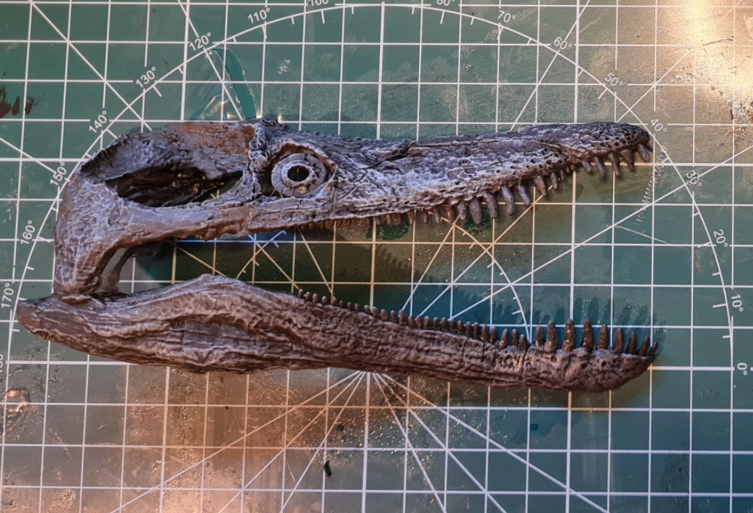 Pliosaurus Magnet