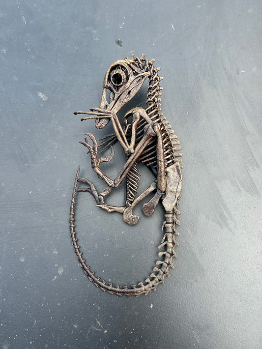 Troodon hatchling
