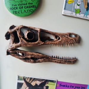 Velociraptor mongoliensis (1:16) Magnet