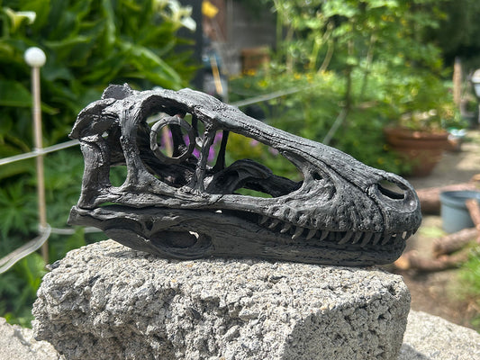 Deinonychus antirrhopus [1:2 scale]