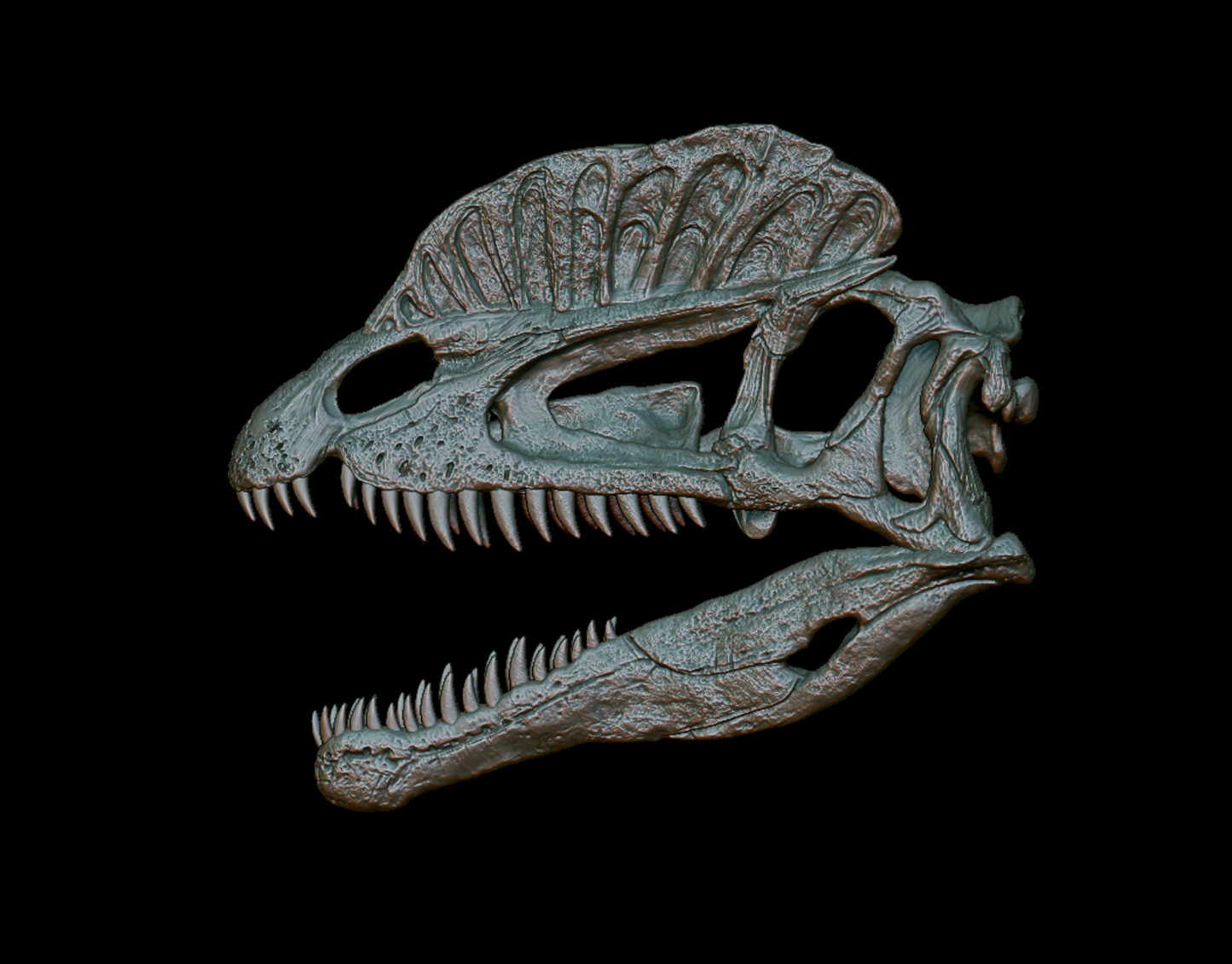 Dilophosaurus Magnet