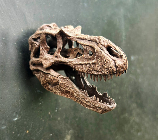 Gorgosaurus 3D Magnet