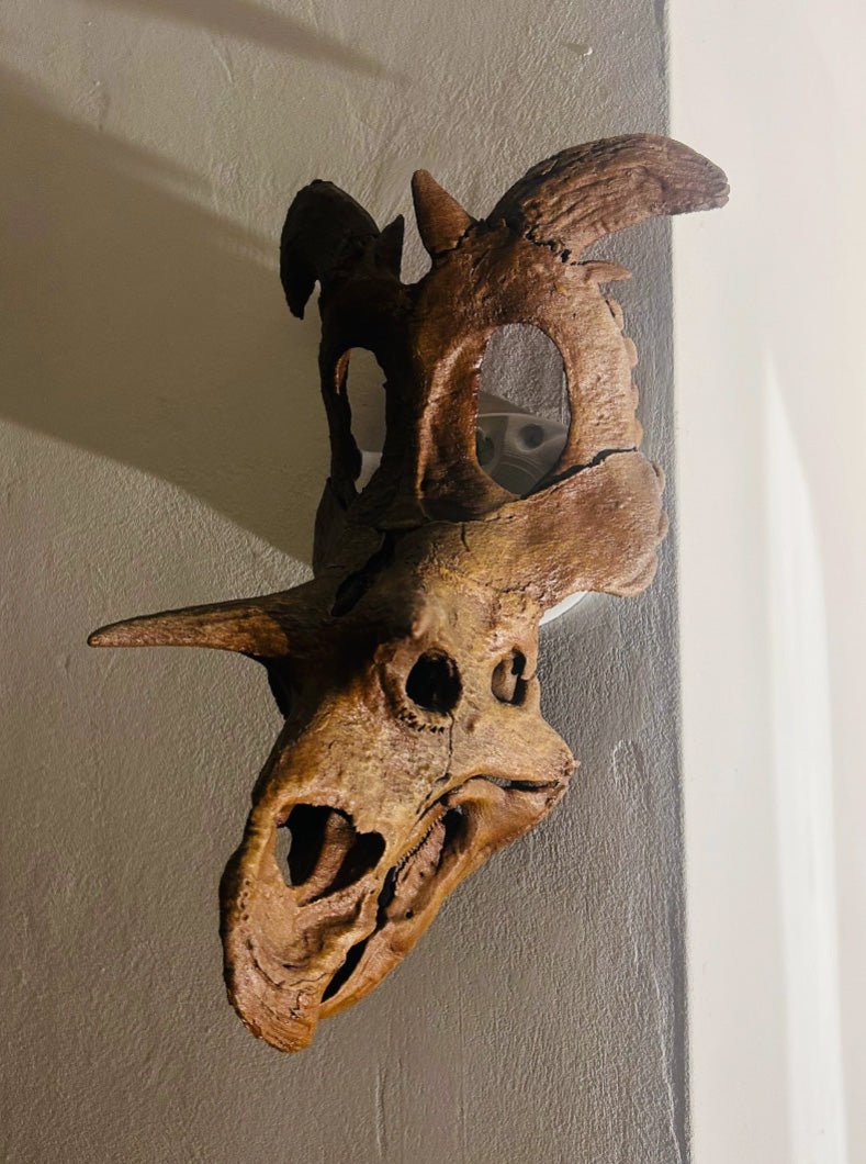 Lokiceratops rangiformis