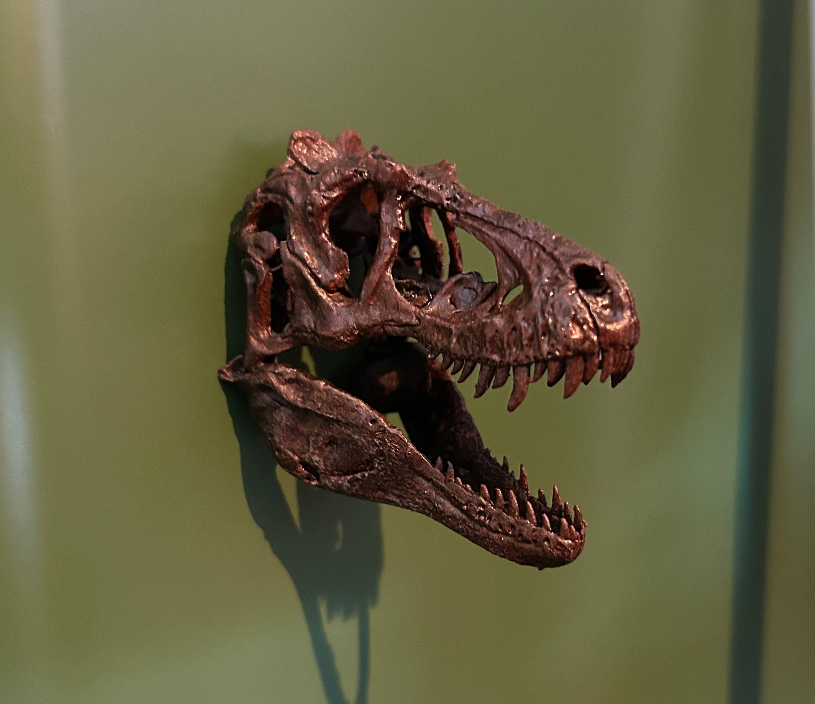 Lythronax Tooth Lythronax 3D Magnet – Scaled Beast