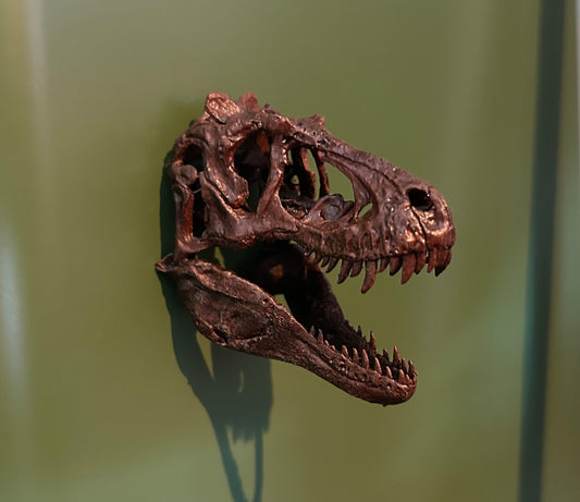 Lythronax 3D Magnet