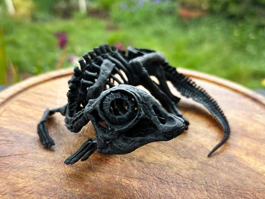 Maiasaura Hatchling