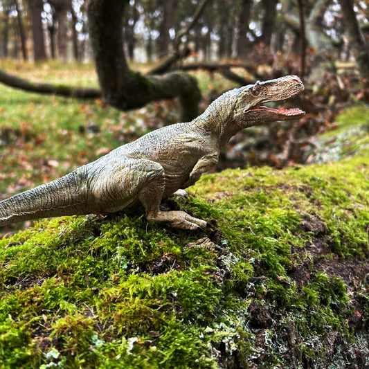 Megalosaurus bucklandii (model)