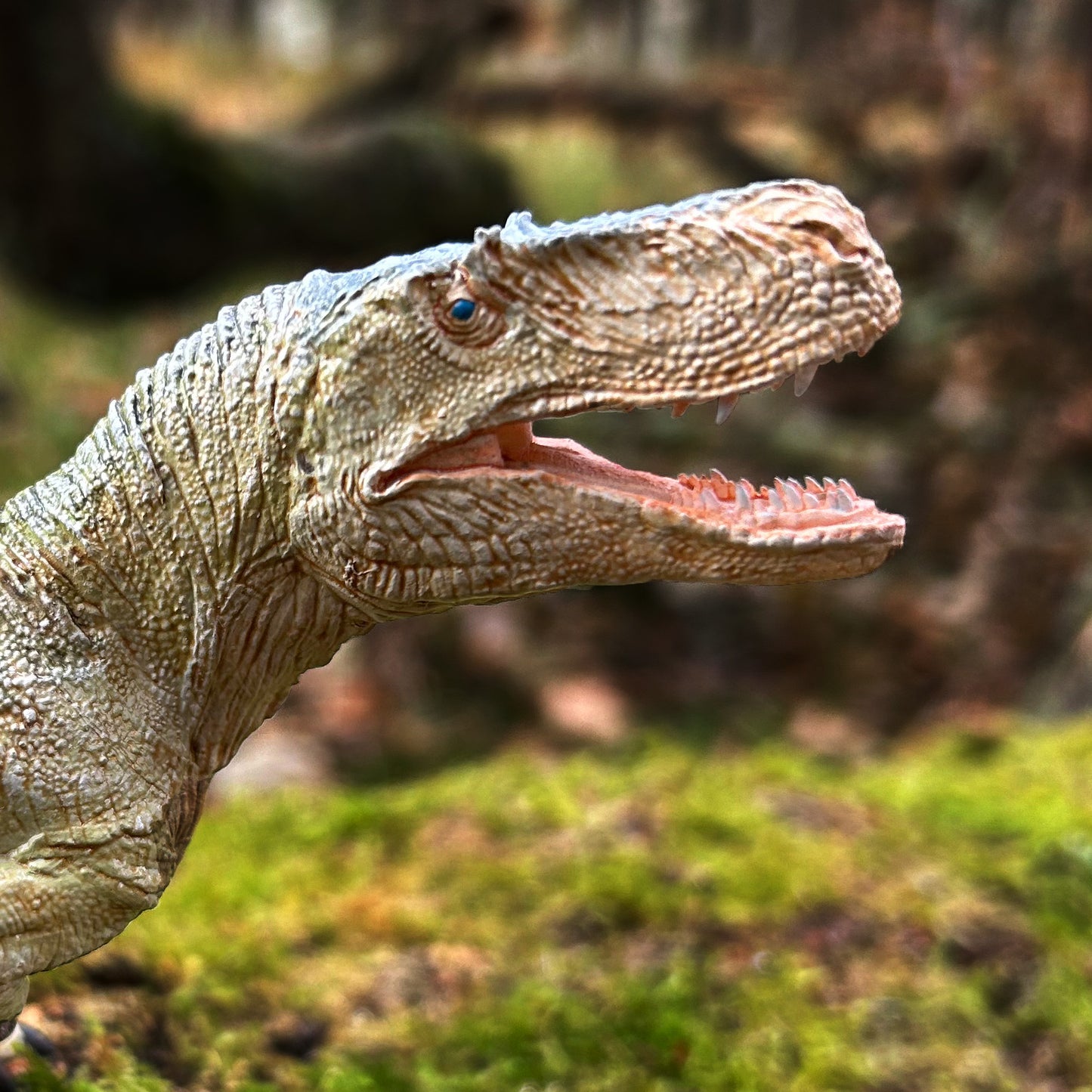 Megalosaurus bucklandii (model)