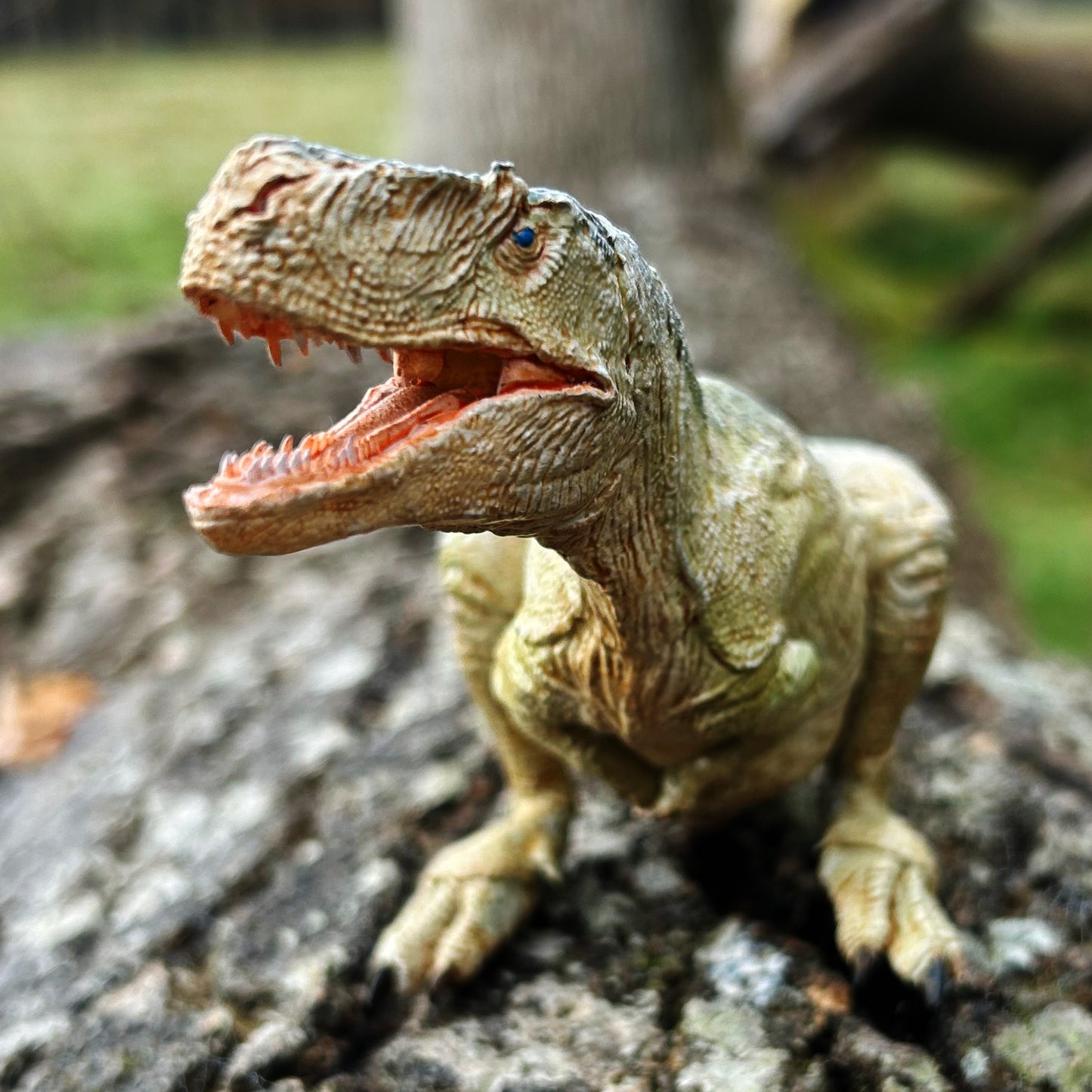 Megalosaurus bucklandii (model)