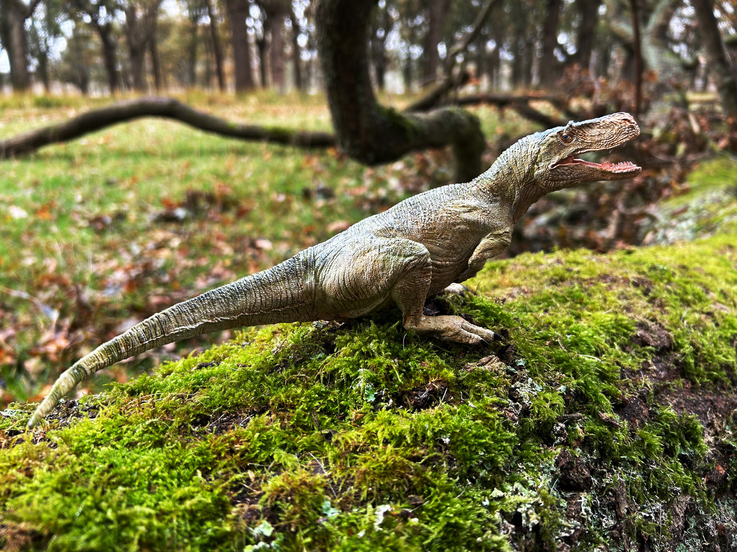 Megalosaurus bucklandii (model)