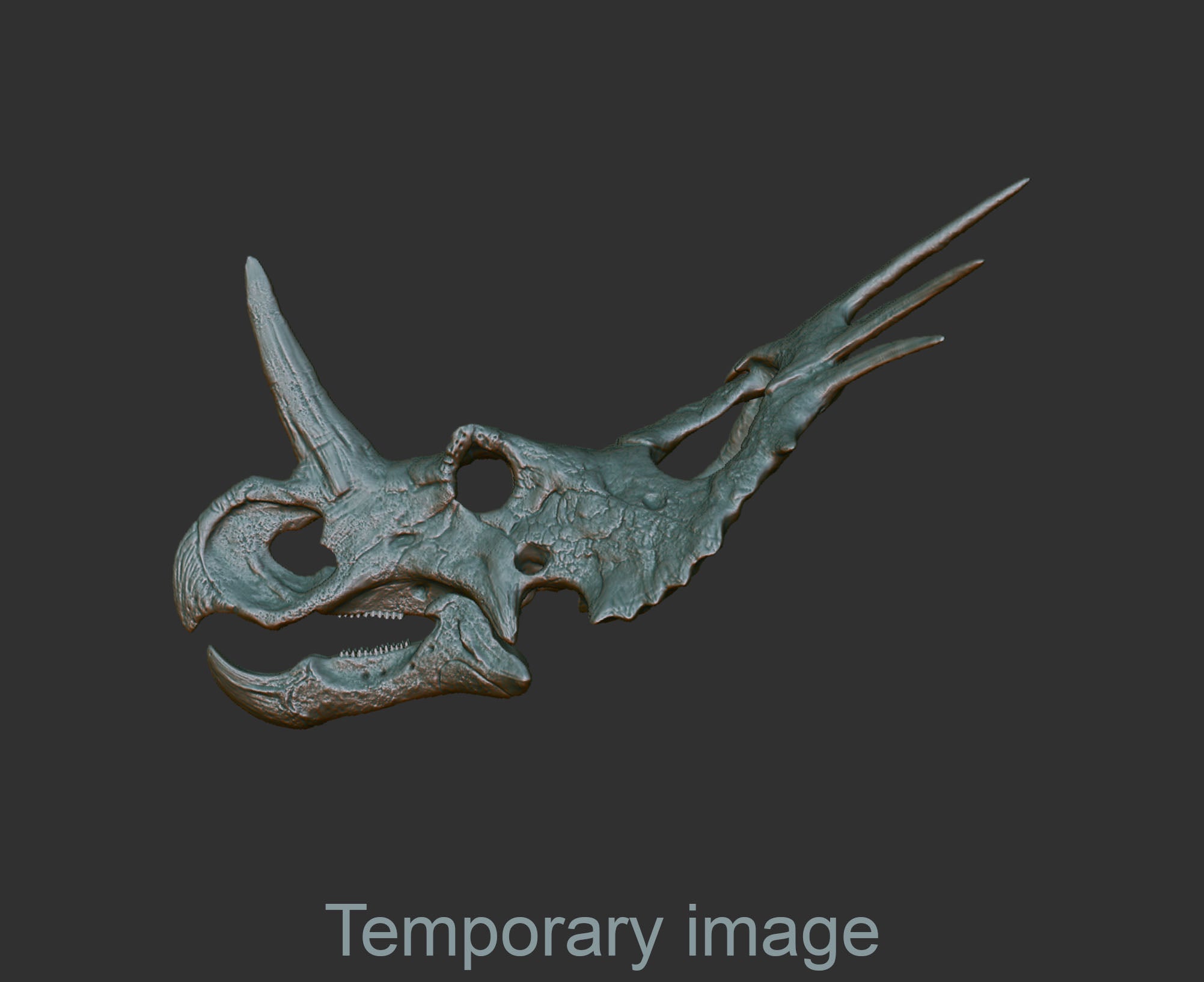 Styracosaurus (1:16) Magnet