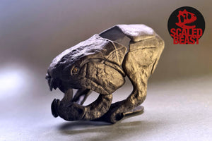 Dunkleosteus  terrelli