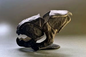 Dunkleosteus  terrelli