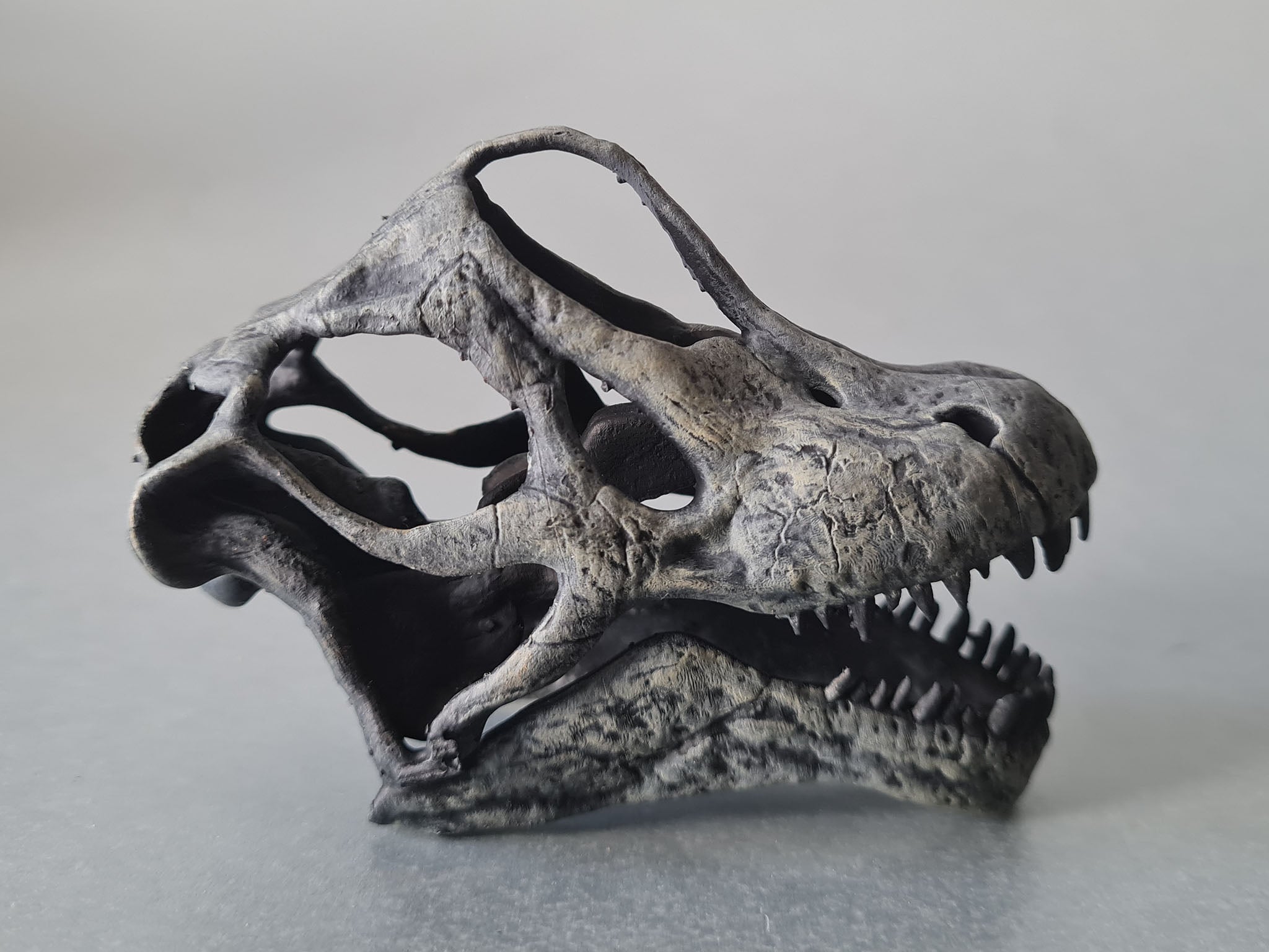 Brachiosaurus altithorax (1:10 scale)