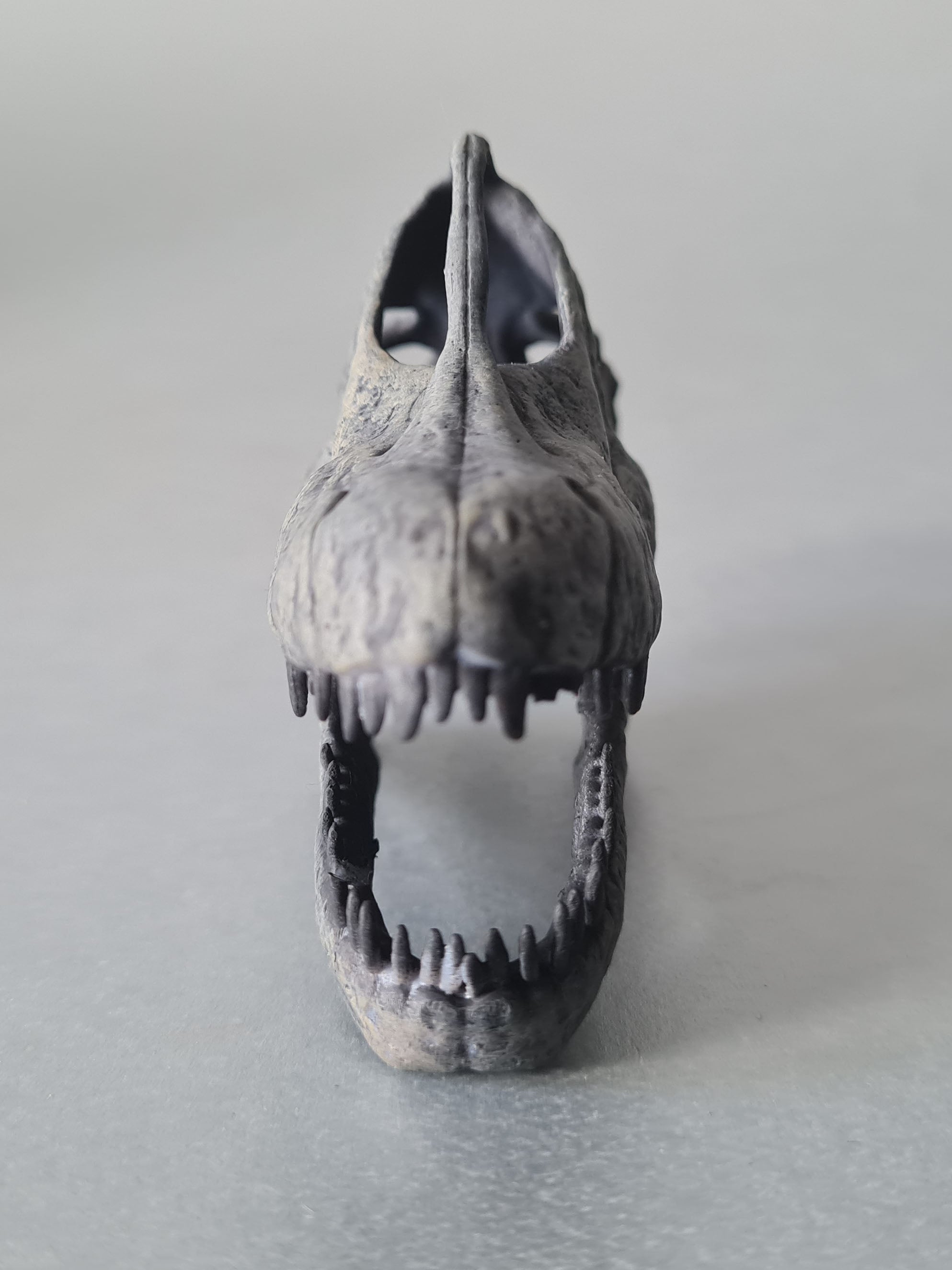 Brachiosaurus altithorax (1:10 scale)