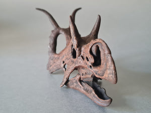 Diabloceratops eatoni
