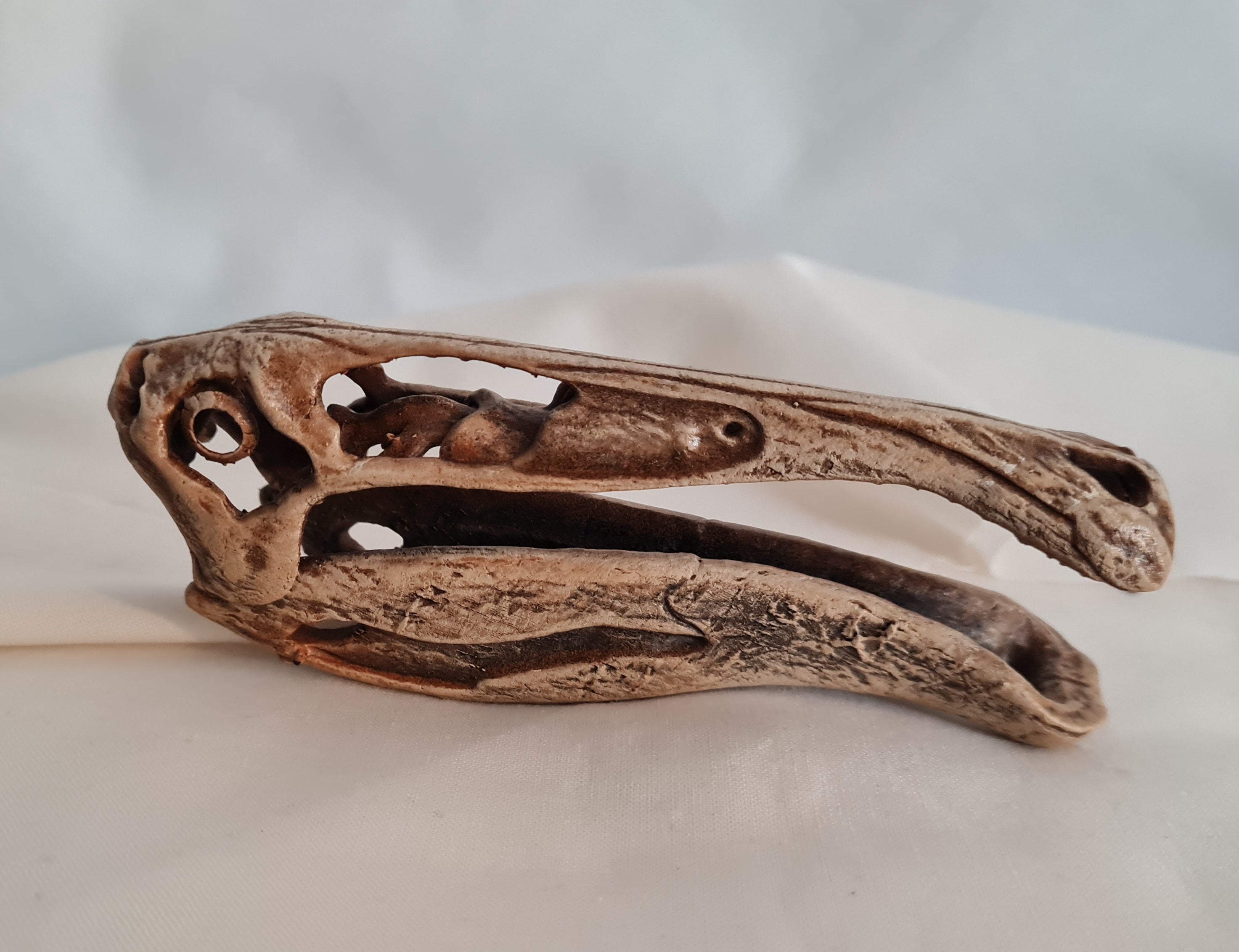 Deinocheirus mirificus