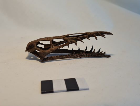 Dearc sgiathanach 1:2 (BB)