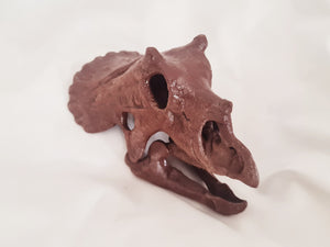 Triceratops (Juvenile)