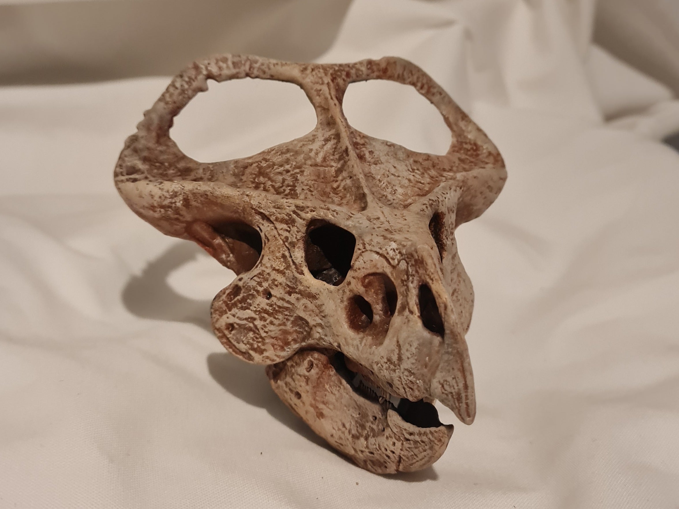 Protoceratops andrewsi