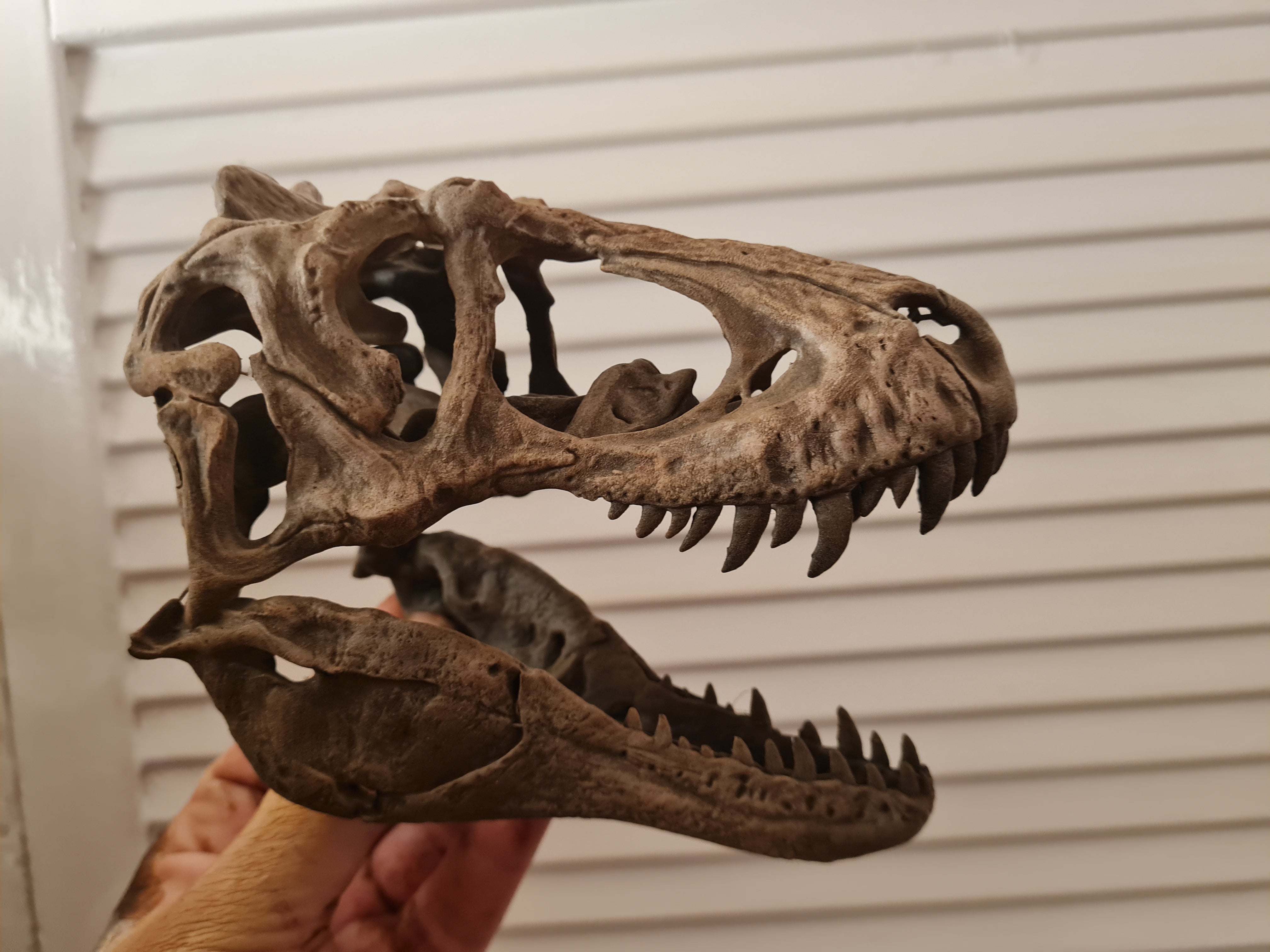 Lythronax argestes