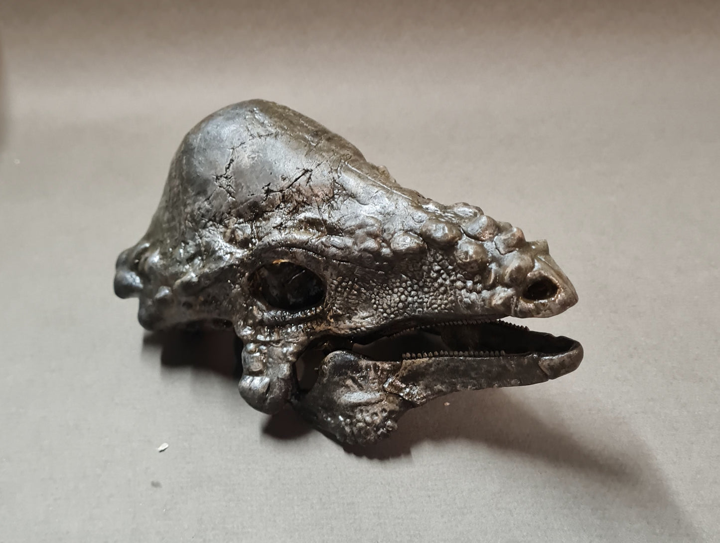 Pachycephalosaurus wyomingensis [BB]