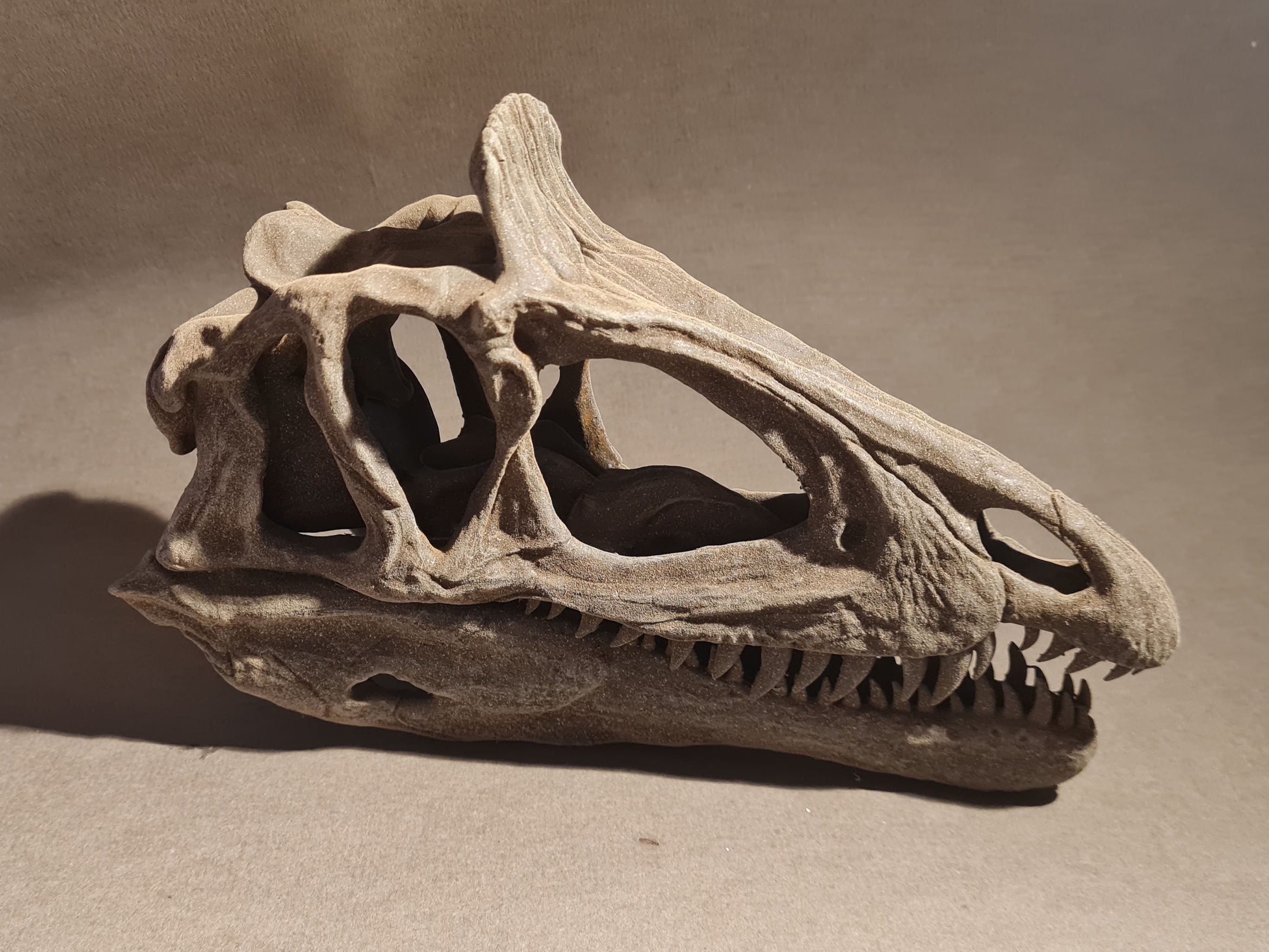 Cryolophosaurus ellioti