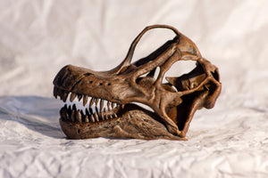 Giraffatitan (/Brachiosaurus) brancai