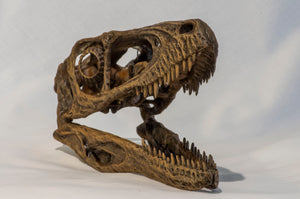 Deinonychus antirrhopus