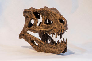 Postosuchus kirkpatricki
