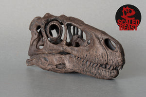 Utahraptor ostrommaysi