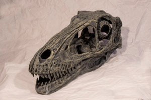Deinonychus antirrhopus