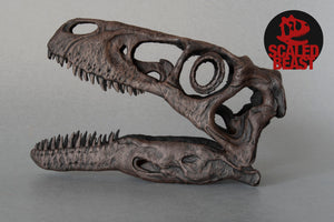 Utahraptor ostrommaysi