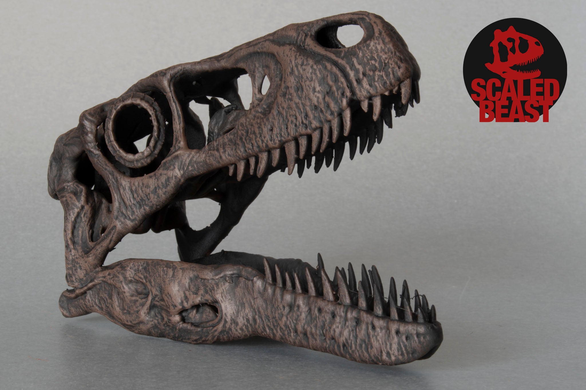 Utahraptor ostrommaysi
